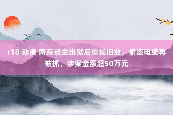 r18 动漫 两东谈主出狱后重操旧业，偷盗电缆再被抓，涉案金额超50万元