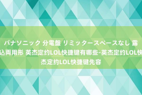 パナソニック 分電盤 リミッタースペースなし 露出・半埋込両用形 英杰定约LOL快捷键有哪些-英杰定约LOL快捷键先容