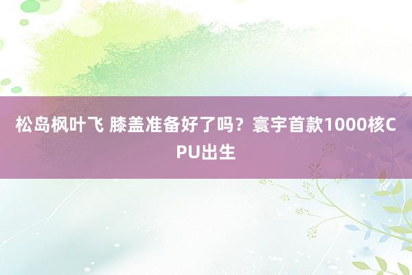 松岛枫叶飞 膝盖准备好了吗？寰宇首款1000核CPU出生