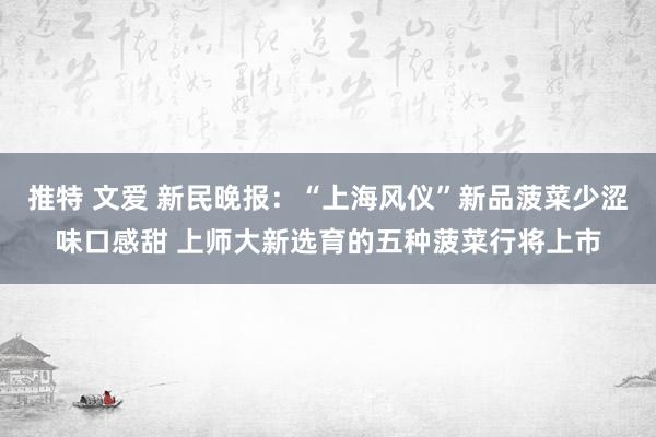 推特 文爱 新民晚报：“上海风仪”新品菠菜少涩味口感甜 上师大新选育的五种菠菜行将上市