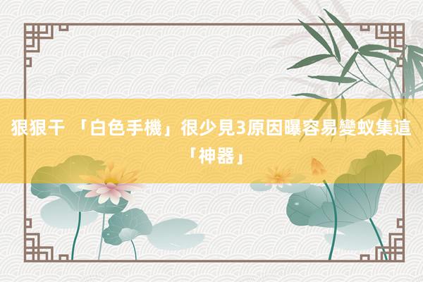 狠狠干 「白色手機」很少見3原因曝　容易變蚁集這「神器」